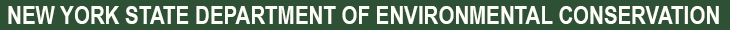 Department of Environmental Conservation New York State Department of Environmental Conservation Banner